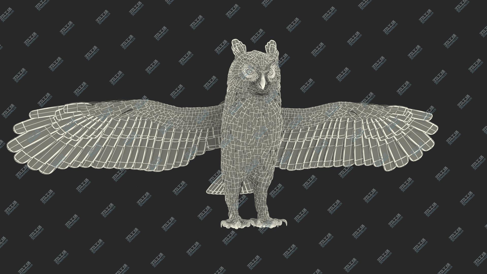 images/goods_img/202104022/Great Horned Owl T-Pose 3D model/3.jpg